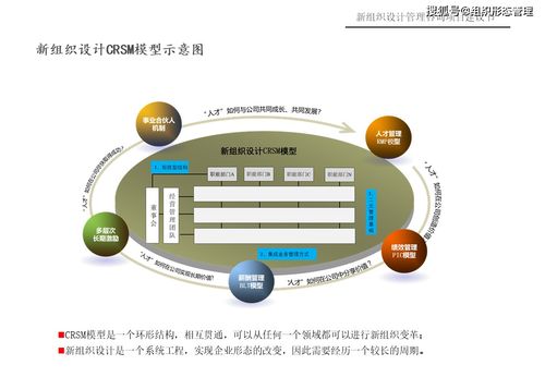 新组织设计管理咨询项目 一体化策划与公关服务建议书